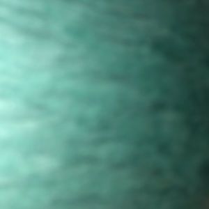 Meet your Posher, Lily